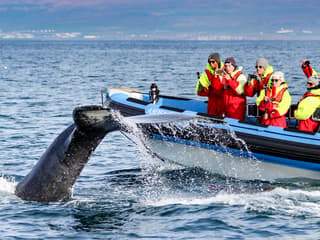 Husavik: Whale Watching and Puffin Tour on RIB speedboat — gallery 1