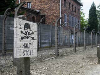 Auschwitz-Birkenau: One-Way Shuttle to/from Krakow