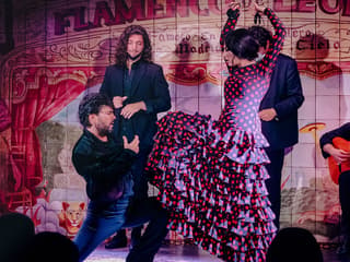 Flamenco De Leones - Flamenco Show — gallery 1