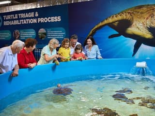 Cairns Aquarium & Tomb of the Pharaohs: Entry Ticket — gallery 2
