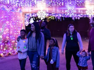 ZooTampa: Christmas in the Wild — gallery 2