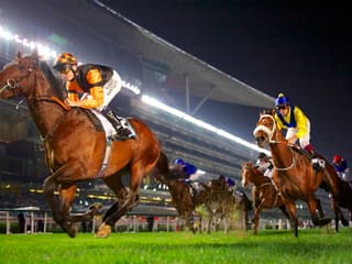 Meydan Races