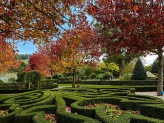 Enchanted Adventure: 1-Day General Admission Ticket