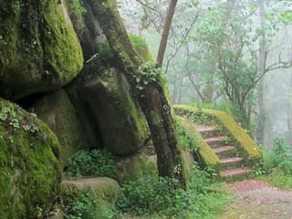 Pena Park in Sintra: Entry Ticket, Lisbon, photo 3