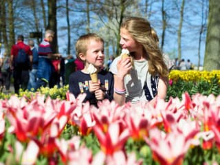 Keukenhof: Entry + Roundtrip Bus Transfer from A’dam Tower
