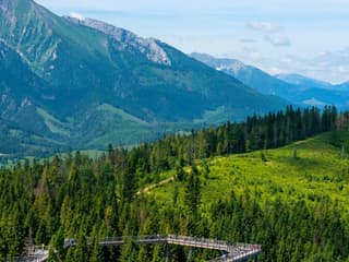 Zdiar : Treetop Walk Bachledka Private Tour from Krakow — gallery 1