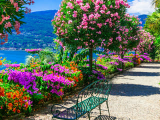 Lake Maggiore: Daytrip from Milan