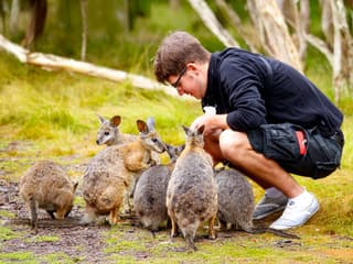From Melbourne: Brighton Beach, Moonlit Sanctuary & Phillip Island Day Trip with Penguin Parade — gallery 2