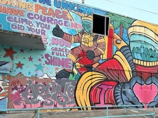 Houston: Guided City Driving Tour — gallery 2