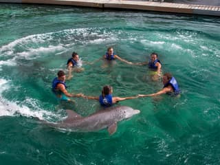 Delphinus Xcaret: Swim with Dolphins