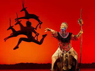 Performer in vibrant costume on stage during The Lion King musical