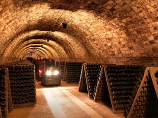 Codorníu Winery: Guided Tour + Cava & Appetizers Tasting