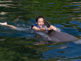 Delphinus Xcaret: Entry Ticket + Transfers + Swim with Dolphins