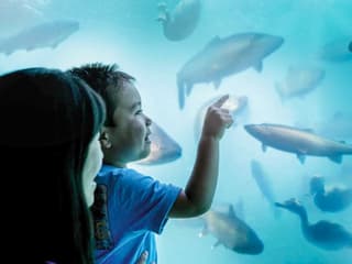 Time Tripper: Hidden Underwater Theatre Experience Tickets — gallery 2