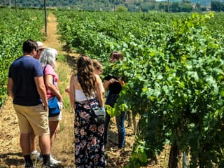 Montserrat: Small Group Tour from Barcelona with Organic Wine Tasting — gallery 2