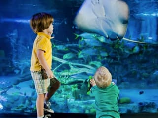 SEA LIFE Orlando: Entry Ticket