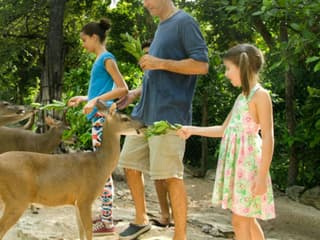Croco Cun Zoo: Fast Track Ticket