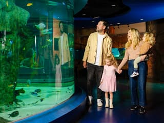 Penguin Passport Tickets: Guided Encounter at SEA LIFE Melbourne Aquarium — gallery 3