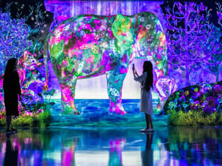 E・ZO FUKUOKA teamLab Forest Tickets — gallery 1