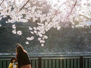 Osaka Castle: Guided Walking Tour — gallery 2