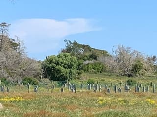 Robben Island and Table Mountain Full Day Tour — gallery 3