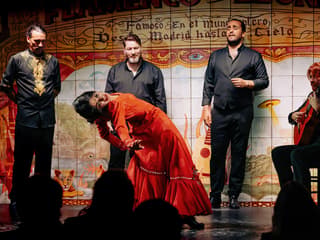 Flamenco De Leones - Flamenco Show — gallery 2
