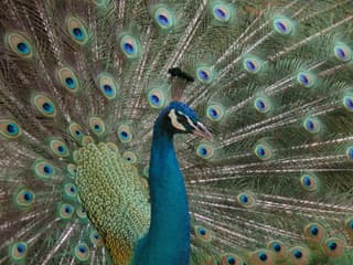 Lisbon Zoo: Fast Track Ticket, Lisbon Zoo, لیسبون و سینترا