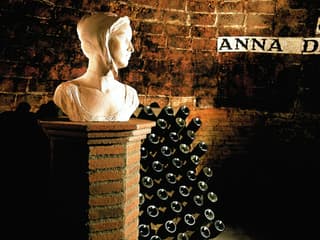 Codorníu Winery: Guided Tour + Cava & Appetizers Tasting