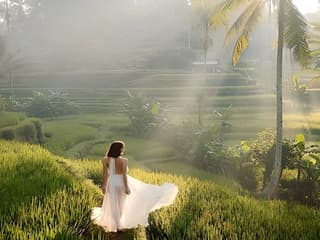 Best Ubud Tour: Monkey forest, Rice Terrace & Waterfall — gallery 1