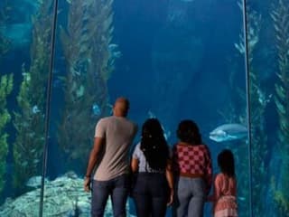 LA Family Pass — gallery 1