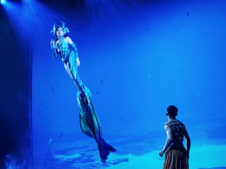 Varuna Underwater Show Tickets — gallery 3