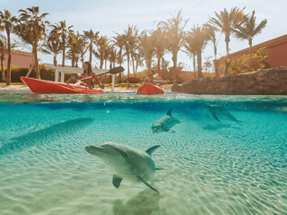 Aquaventure Waterpark Tickets with Dolphin Encounter — gallery 3