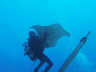 Los Cristianos: Guided Diving Class — gallery 1