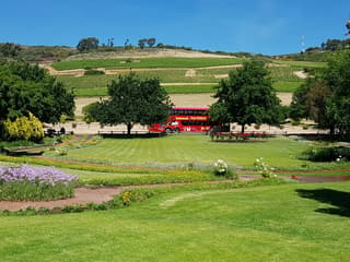 Paarl, Franschhoek, Stellenbosch Region Explorer Wine Tour — gallery 2