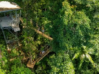 Treetops Adventure - Cape Tribulation