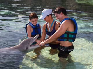 Delphinus Xcaret: Swim with Dolphins