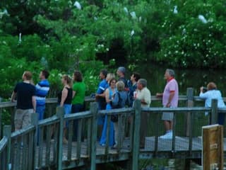 Gatorland Orlando: Gator Night Shine