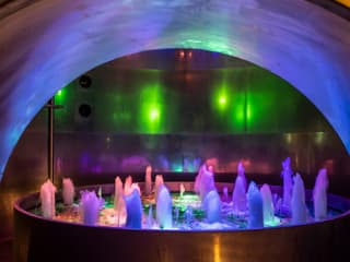 LOISIUM WineExperience: Fast-Track-Ticket, LOISIUM WineExperience, Wien