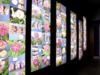 Fries Museum Bruges — gallery 2
