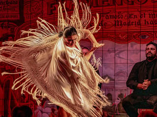 Flamenco De Leones - Flamenco Show — gallery 3