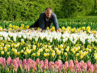 Keukenhof: Entry + Roundtrip Bus Transfer from A’dam Tower