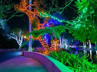 Zoo Lights at Zoo Miami — gallery 1