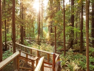 Capilano Suspension Bridge Park: Entry Ticket — gallery 3