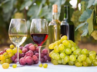 Guided Wine Tasting & Dinner Experience in Chianti — gallery 2