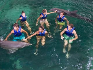 Delphinus Xcaret: Swim with Dolphins