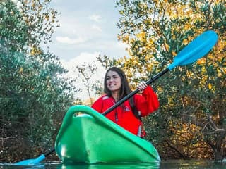 Guided Kayak Tour in the Mangroves