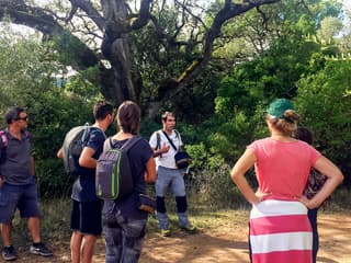 Half-Day Hiking at Arrábida Natural Park — gallery 2