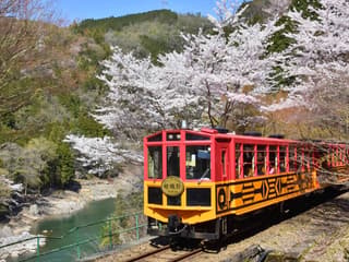 Billete del Tren Romántico de Sagano: de Saga hacia/desde Kameoka, Kioto