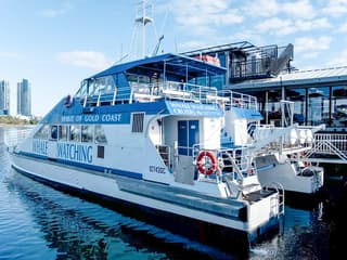 Whale Watching Cruise with Beverages & Snacks tickets, Gold Coast, photo 2