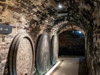 LOISIUM WineExperience: Fast-Track-Ticket, LOISIUM WineExperience, Wien